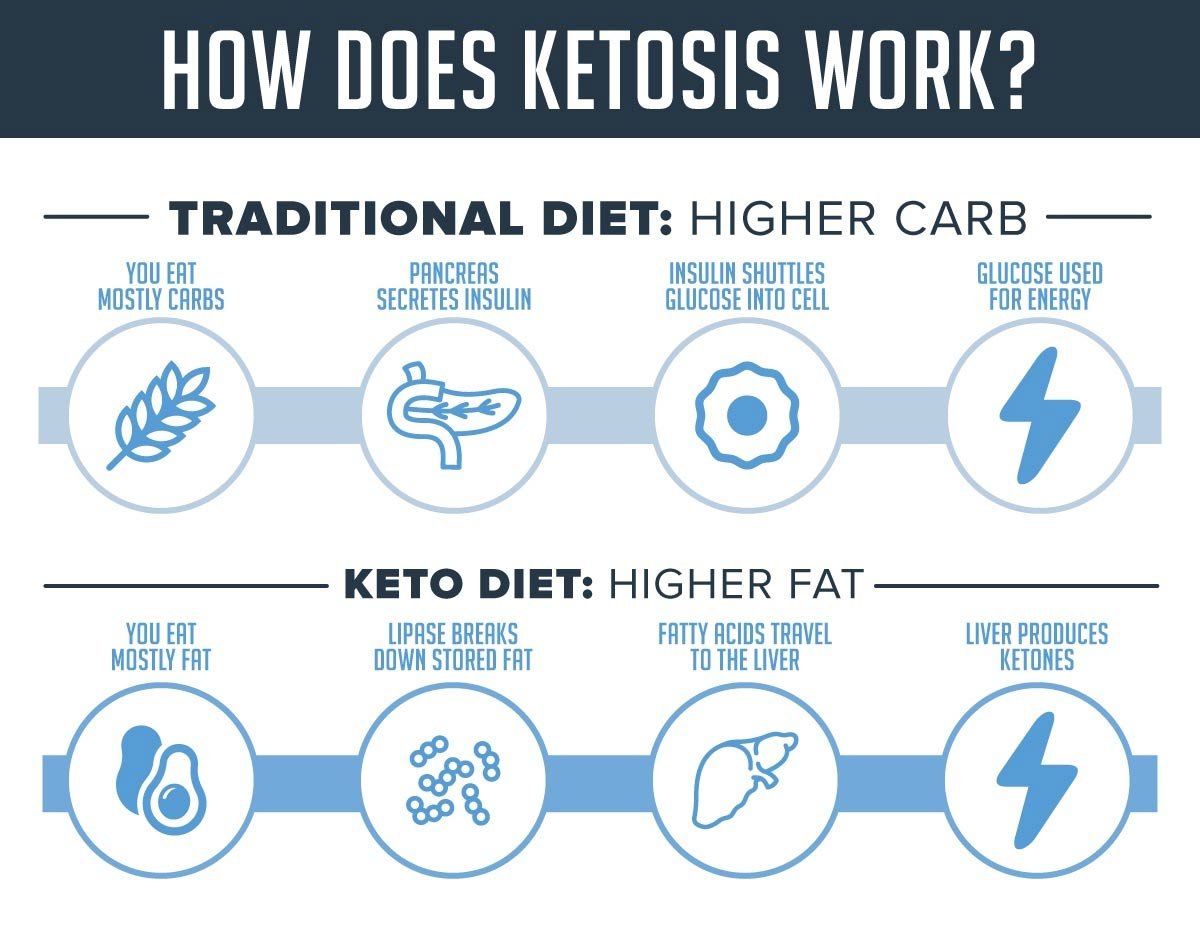 Cetosis dietas bajas en carbohidratos